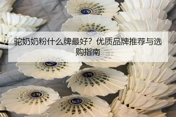 驼奶奶粉什么牌最好?优质品牌推荐与选购指南