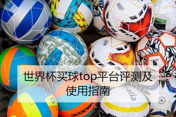 世界杯买球top平台评测及使用指南