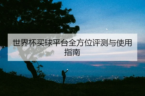 世界杯买球平台全方位评测与使用指南