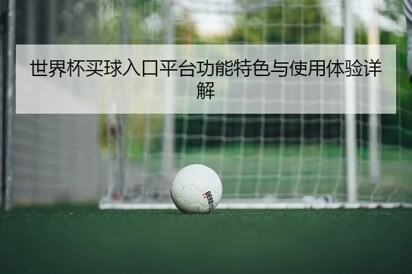 世界杯买球入口平台功能特色与使用体验详解